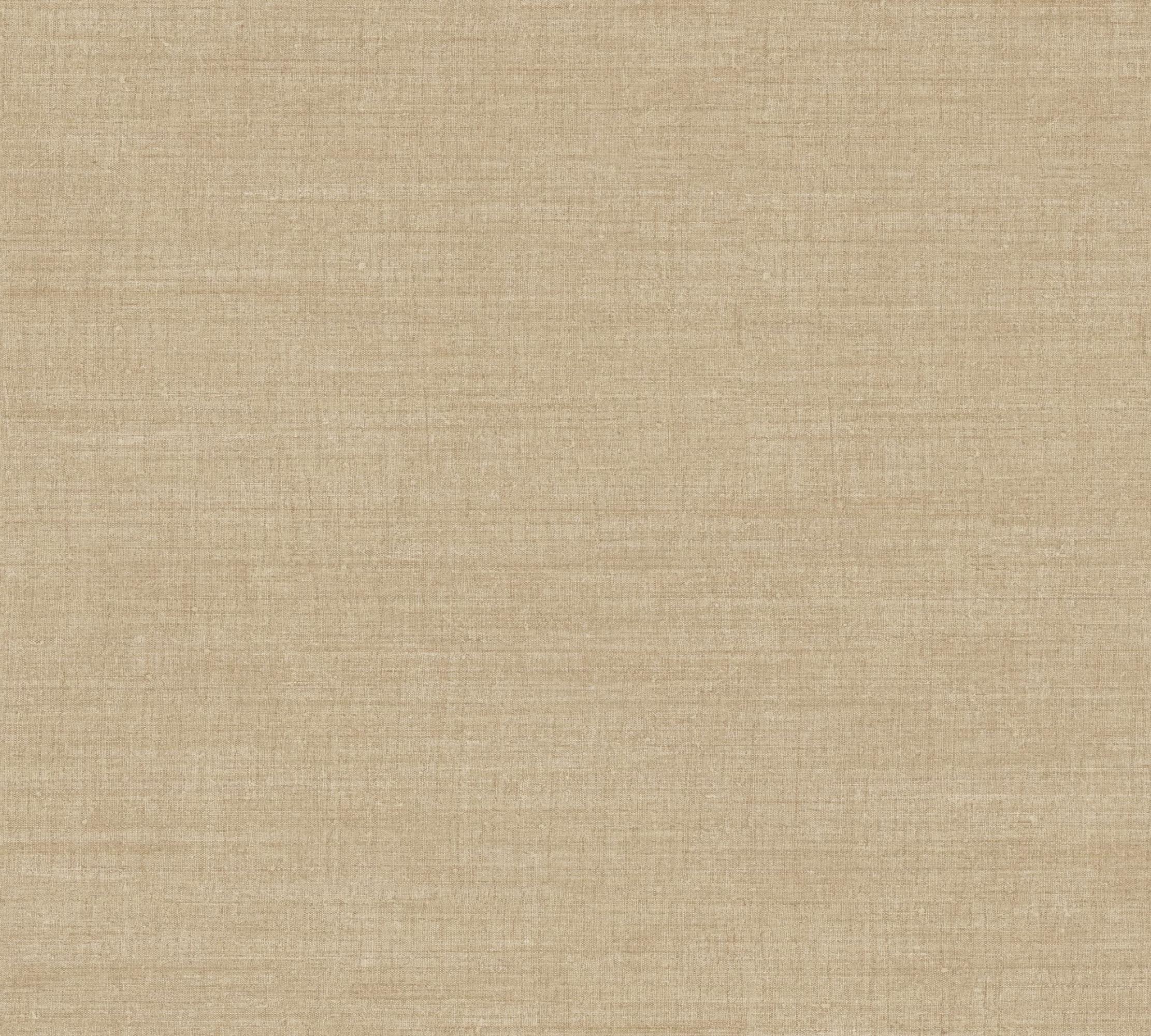 Cloth