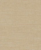 Cloth