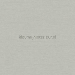Hookedonwalls New Wave 24800 | Bestellen bij https://www.kleurmijninterieur.nl/