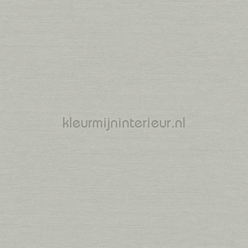 Hookedonwalls New Wave 24800 | Bestellen bij https://www.kleurmijninterieur.nl/