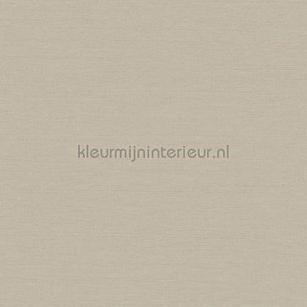 Hookedonwalls New Wave 24801 | Bestellen bij https://www.kleurmijninterieur.nl/