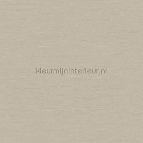Hookedonwalls New Wave 24801 | Bestellen bij https://www.kleurmijninterieur.nl/