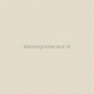 Hookedonwalls New Wave 24802 | Bestellen bij https://www.kleurmijninterieur.nl/
