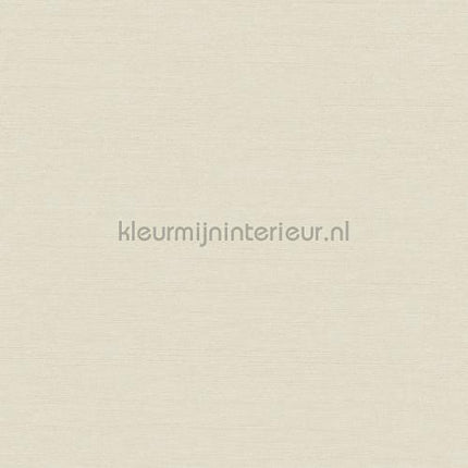 Hookedonwalls New Wave 24802 | Bestellen bij https://www.kleurmijninterieur.nl/