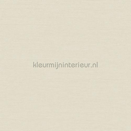 Hookedonwalls New Wave 24802 | Bestellen bij https://www.kleurmijninterieur.nl/