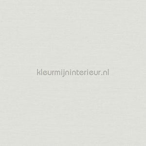 Hookedonwalls New Wave 24803 | Bestellen bij https://www.kleurmijninterieur.nl/