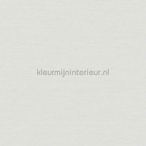 Hookedonwalls New Wave 24803 | Bestellen bij https://www.kleurmijninterieur.nl/