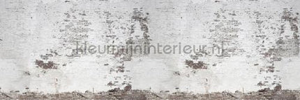 Rebel Walls Curious r14321 | Bestellen bij https://www.kleurmijninterieur.nl/