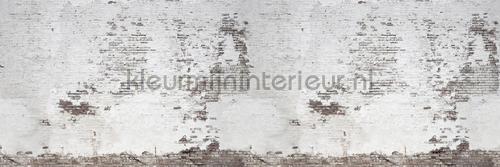 Rebel Walls Curious r14321 | Bestellen bij https://www.kleurmijninterieur.nl/