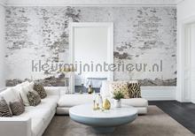 Rebel Walls Curious r14321 | Bestellen bij https://www.kleurmijninterieur.nl/