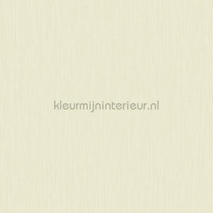 Hookedonwalls Tropical Weave 18807 | Bestellen bij https://www.kleurmijninterieur.nl/