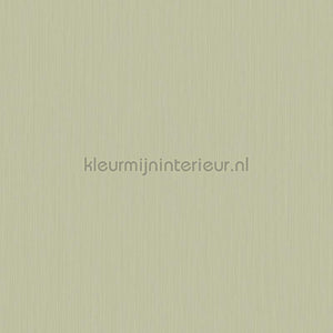 Hookedonwalls Tropical Weave 18808 | Bestellen bij https://www.kleurmijninterieur.nl/