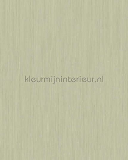 Hookedonwalls Tropical Weave 18808 | Bestellen bij https://www.kleurmijninterieur.nl/