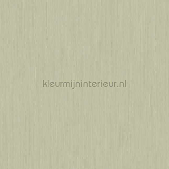 Hookedonwalls Tropical Weave 18808 | Bestellen bij https://www.kleurmijninterieur.nl/