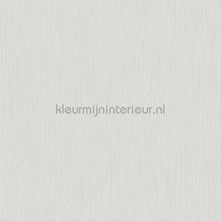 Hookedonwalls New Wave 24818 | Bestellen bij https://www.kleurmijninterieur.nl/