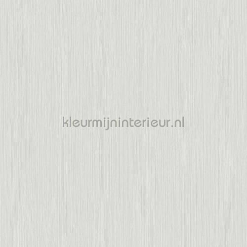 Hookedonwalls New Wave 24818 | Bestellen bij https://www.kleurmijninterieur.nl/
