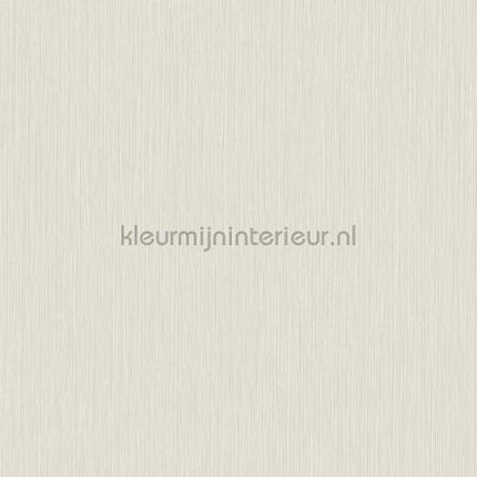 Hookedonwalls New Wave 24819 | Bestellen bij https://www.kleurmijninterieur.nl/