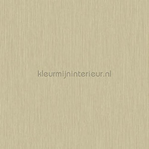 Hookedonwalls New Wave 24820 | Bestellen bij https://www.kleurmijninterieur.nl/