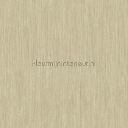 Hookedonwalls New Wave 24820 | Bestellen bij https://www.kleurmijninterieur.nl/