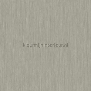 Hookedonwalls New Wave 24823 | Bestellen bij https://www.kleurmijninterieur.nl/