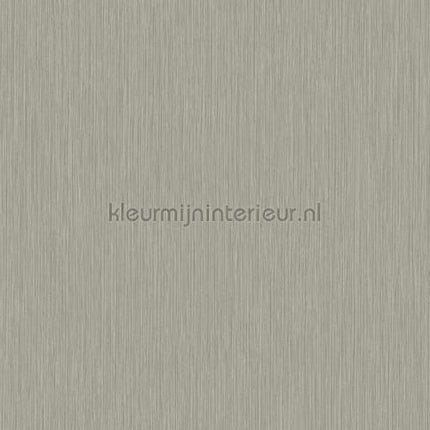 Hookedonwalls New Wave 24823 | Bestellen bij https://www.kleurmijninterieur.nl/