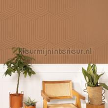 Caselio XXL XXL104522029 | Bestellen bij https://www.kleurmijninterieur.nl/