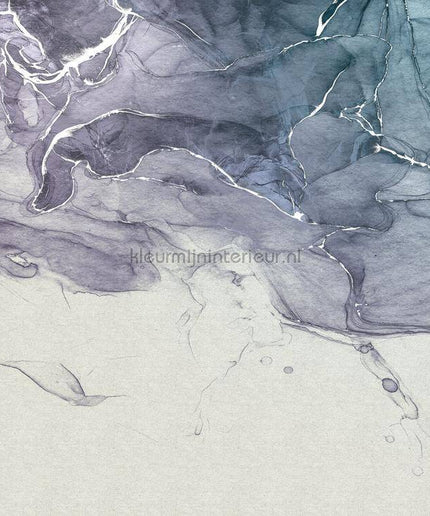 Komar RAW R3-024 | Bestellen bij https://www.kleurmijninterieur.nl/