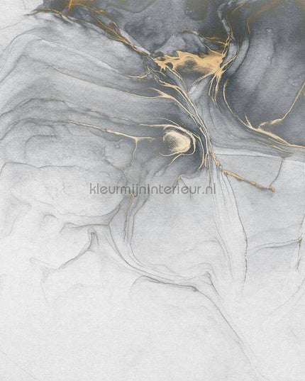 Komar RAW RSX6-037 | Bestellen bij https://www.kleurmijninterieur.nl/