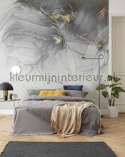 Komar RAW RSX6-037 | Bestellen bij https://www.kleurmijninterieur.nl/
