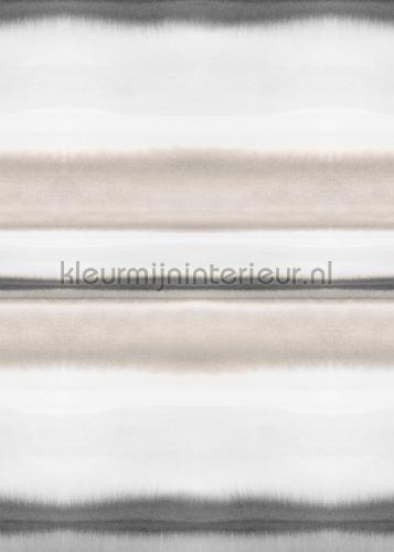 Behang Expresse Light and Dark ink7505 | Bestellen bij https://www.kleurmijninterieur.nl/