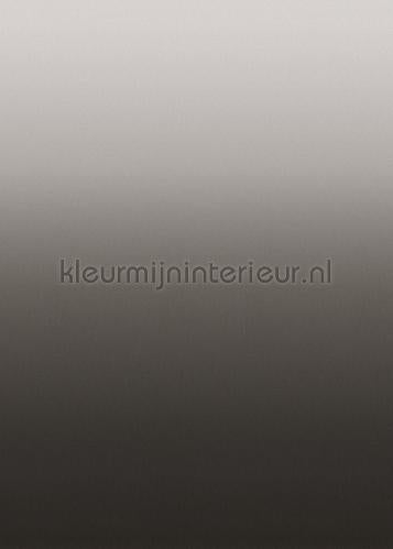 Behang Expresse Light and Dark ink7508 | Bestellen bij https://www.kleurmijninterieur.nl/