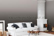 Behang Expresse Light and Dark ink7508 | Bestellen bij https://www.kleurmijninterieur.nl/
