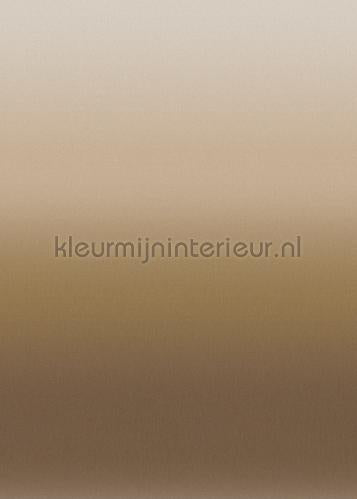 Behang Expresse Light and Dark ink7509 | Bestellen bij https://www.kleurmijninterieur.nl/