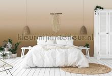 Behang Expresse Light and Dark ink7509 | Bestellen bij https://www.kleurmijninterieur.nl/
