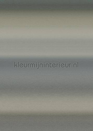 Behang Expresse Light and Dark ink7513 | Bestellen bij https://www.kleurmijninterieur.nl/