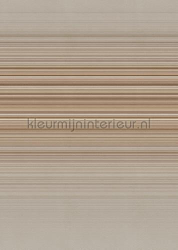 Behang Expresse Light and Dark ink7525 | Bestellen bij https://www.kleurmijninterieur.nl/