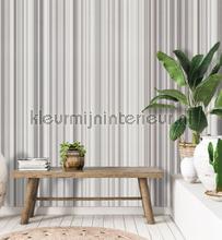 Behang Expresse Light and Dark ink7537 | Bestellen bij https://www.kleurmijninterieur.nl/