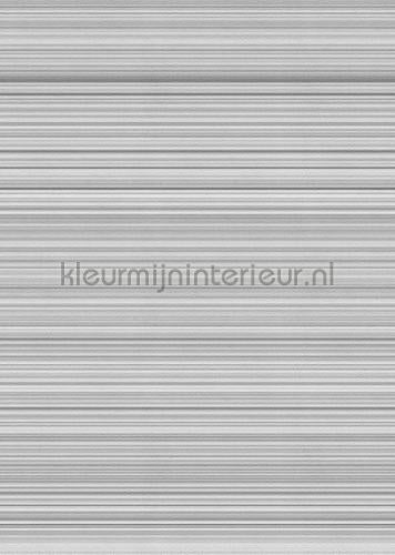 Behang Expresse Light and Dark ink7539 | Bestellen bij https://www.kleurmijninterieur.nl/