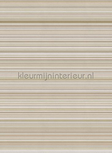 Behang Expresse Light and Dark ink7540 | Bestellen bij https://www.kleurmijninterieur.nl/