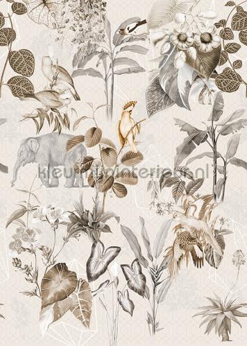 Behang Expresse Floral Utopia ink7590 | Bestellen bij https://www.kleurmijninterieur.nl/
