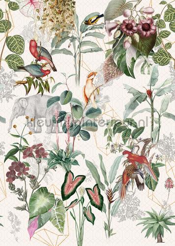 Behang Expresse Floral Utopia ink7591 | Bestellen bij https://www.kleurmijninterieur.nl/
