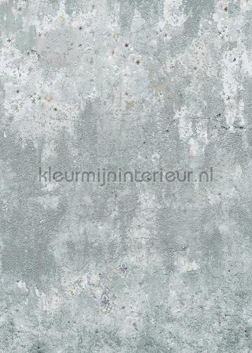 Behang Expresse Floral Utopia ink7593 | Bestellen bij https://www.kleurmijninterieur.nl/