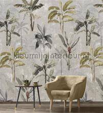 Behang Expresse Dreaming of Nature INK7728 | Bestellen bij https://www.kleurmijninterieur.nl/