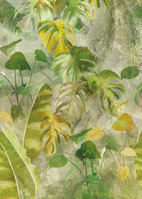 Behang Expresse Dreaming of Nature INK7732 | Bestellen bij https://www.kleurmijninterieur.nl/