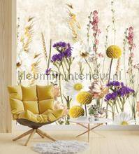 Behang Expresse Dreaming of Nature INK7759 | Bestellen bij https://www.kleurmijninterieur.nl/