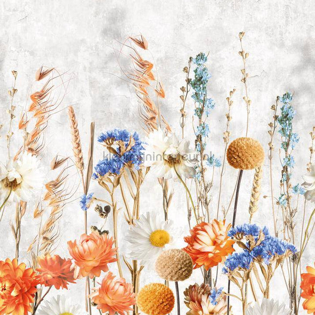 Behang Expresse Dreaming of Nature INK7760 | Bestellen bij https://www.kleurmijninterieur.nl/