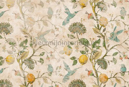 AS Creation Walls by Patel 3 DD122420 | Bestellen bij https://www.kleurmijninterieur.nl/