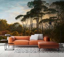 Kleurmijninterieur Ambiance DD118819 | Bestellen bij https://www.kleurmijninterieur.nl/