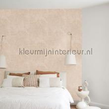 Casadeco Kyoto KYTO88751498 | Bestellen bij https://www.kleurmijninterieur.nl/
