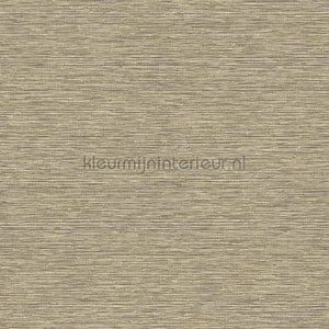Hookedonwalls Leopard Walk 15308 | Bestellen bij https://www.kleurmijninterieur.nl/